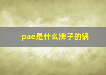 pae是什么牌子的锅