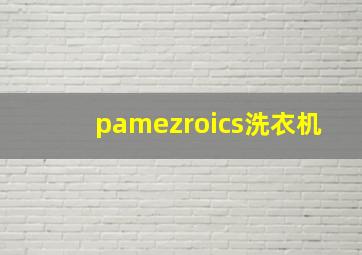 pamezroics洗衣机