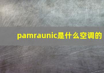 pamraunic是什么空调的