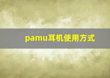 pamu耳机使用方式