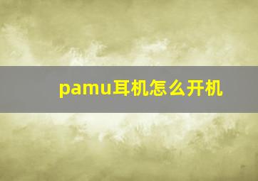 pamu耳机怎么开机