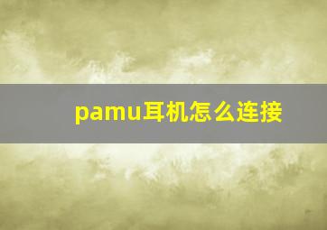 pamu耳机怎么连接