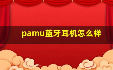 pamu蓝牙耳机怎么样