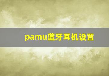 pamu蓝牙耳机设置