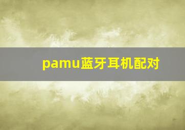 pamu蓝牙耳机配对