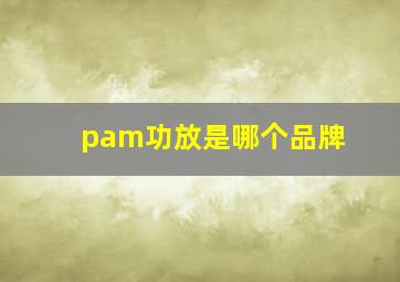 pam功放是哪个品牌