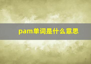 pam单词是什么意思