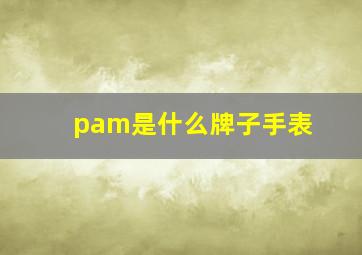 pam是什么牌子手表