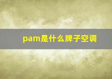 pam是什么牌子空调