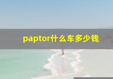 paptor什么车多少钱