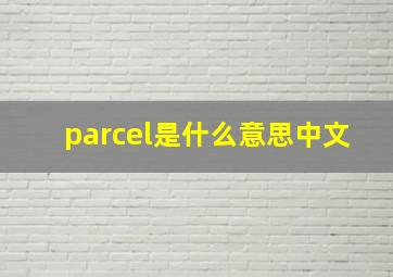 parcel是什么意思中文