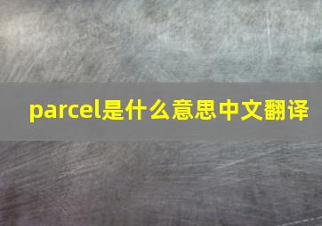 parcel是什么意思中文翻译