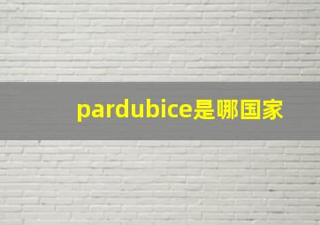 pardubice是哪国家