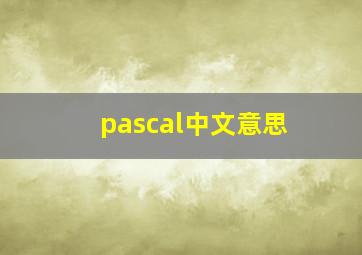 pascal中文意思