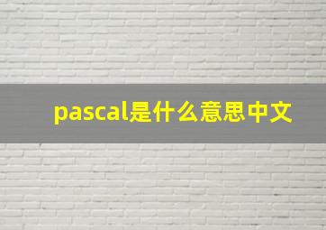 pascal是什么意思中文