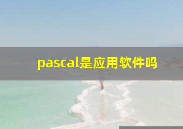 pascal是应用软件吗