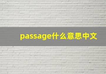 passage什么意思中文