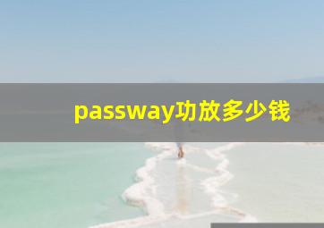 passway功放多少钱