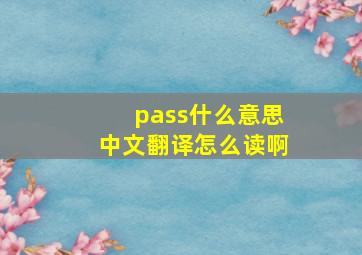 pass什么意思中文翻译怎么读啊