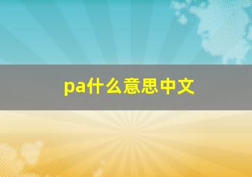 pa什么意思中文