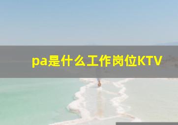 pa是什么工作岗位KTV