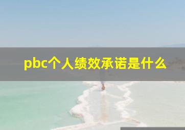 pbc个人绩效承诺是什么