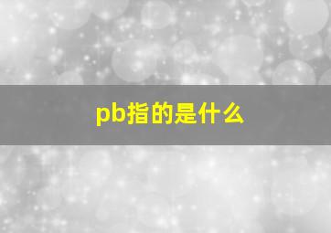 pb指的是什么