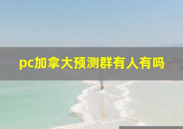 pc加拿大预测群有人有吗