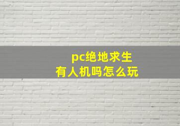 pc绝地求生有人机吗怎么玩