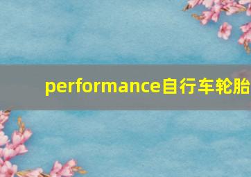 performance自行车轮胎