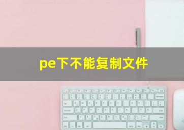 pe下不能复制文件