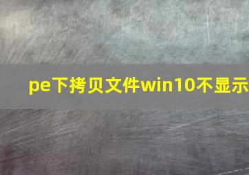 pe下拷贝文件win10不显示