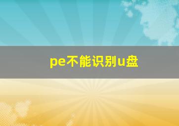 pe不能识别u盘