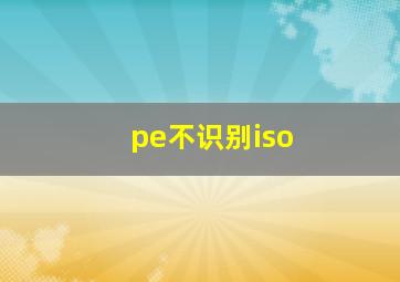 pe不识别iso