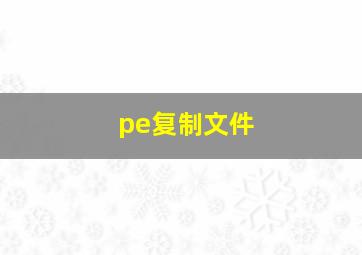 pe复制文件