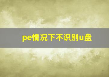 pe情况下不识别u盘