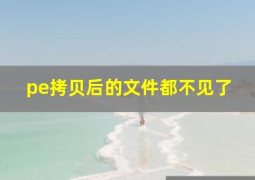 pe拷贝后的文件都不见了