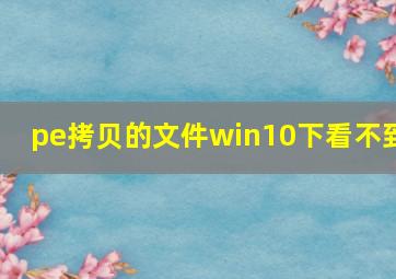 pe拷贝的文件win10下看不到