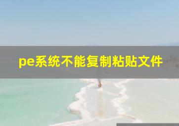 pe系统不能复制粘贴文件