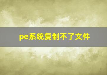 pe系统复制不了文件