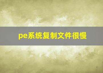 pe系统复制文件很慢