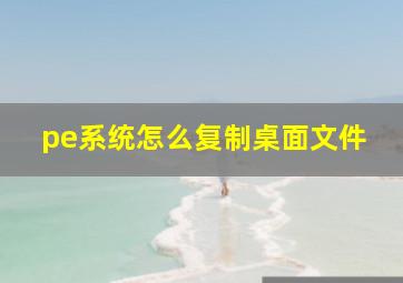 pe系统怎么复制桌面文件