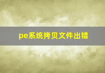 pe系统拷贝文件出错