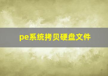 pe系统拷贝硬盘文件