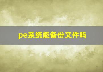 pe系统能备份文件吗