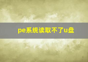 pe系统读取不了u盘