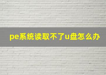 pe系统读取不了u盘怎么办