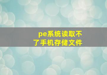 pe系统读取不了手机存储文件