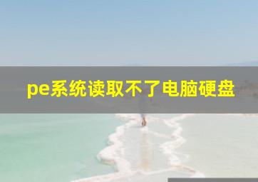 pe系统读取不了电脑硬盘