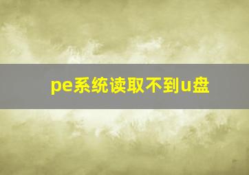 pe系统读取不到u盘